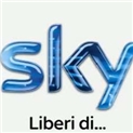 Sky Italia: Court must decide on pay-TV ad cap